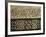 Close-Up of Decoration, Alhambra, Granada, Andalucia, Spain-Adam Woolfitt-Framed Photographic Print