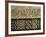 Close-Up of Decoration, Alhambra, Granada, Andalucia, Spain-Adam Woolfitt-Framed Photographic Print