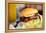 Close up of Delicious Fresh Burger with Cheese and Bacon-BlueOrange Studio-Framed Premier Image Canvas