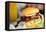 Close up of Delicious Fresh Burger with Cheese and Bacon-BlueOrange Studio-Framed Premier Image Canvas