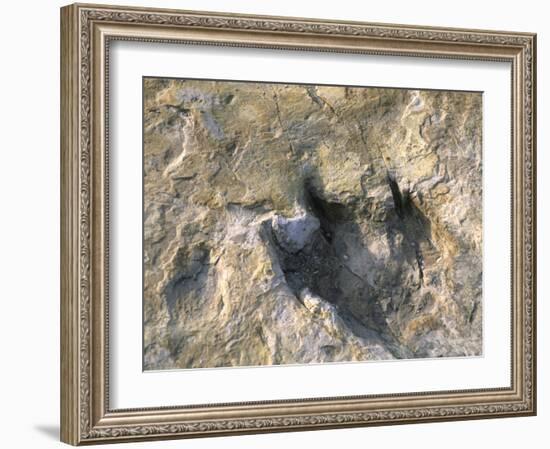 Close-Up of Dinosaur Footprint, Dinosaur Trackway, Clayton Lake State Park, New Mexico-Michael Snell-Framed Photographic Print