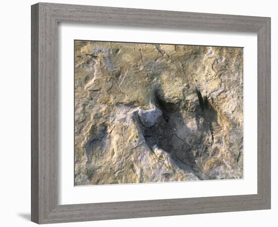 Close-Up of Dinosaur Footprint, Dinosaur Trackway, Clayton Lake State Park, New Mexico-Michael Snell-Framed Photographic Print