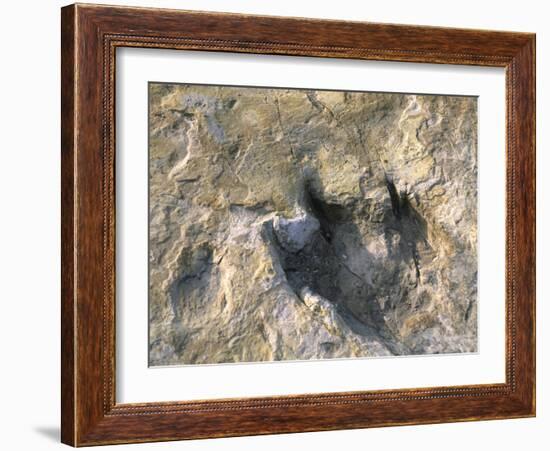 Close-Up of Dinosaur Footprint, Dinosaur Trackway, Clayton Lake State Park, New Mexico-Michael Snell-Framed Photographic Print