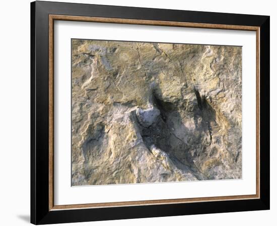 Close-Up of Dinosaur Footprint, Dinosaur Trackway, Clayton Lake State Park, New Mexico-Michael Snell-Framed Photographic Print