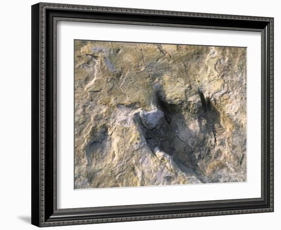 Close-Up of Dinosaur Footprint, Dinosaur Trackway, Clayton Lake State Park, New Mexico-Michael Snell-Framed Photographic Print