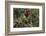 Close Up of Edible Berries. North Dakota, USA-Angel Wynn-Framed Photographic Print