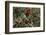 Close Up of Edible Berries. North Dakota, USA-Angel Wynn-Framed Photographic Print