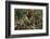 Close Up of Edible Berries. North Dakota, USA-Angel Wynn-Framed Photographic Print