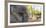 Close-up of elephant, India-Panoramic Images-Framed Photographic Print