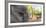 Close-up of elephant, India-Panoramic Images-Framed Photographic Print