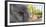 Close-up of elephant, India-Panoramic Images-Framed Photographic Print