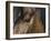 Close Up of Eye of a Paint Mare, Berthoud, Colorado, USA-Carol Walker-Framed Photographic Print