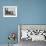 Close Up of Fighter Plane Before Takeoff from Flight Deck of Aircraft Carrier "Enterprise"-Peter Stackpole-Framed Photographic Print displayed on a wall