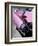 Close-Up of Fin and Lights on a Pink Cadillac Car-Mark Chivers-Framed Photographic Print