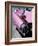 Close-Up of Fin and Lights on a Pink Cadillac Car-Mark Chivers-Framed Photographic Print