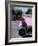 Close-Up of Fin and Lights on a Pink Cadillac Car-Mark Chivers-Framed Photographic Print