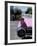 Close-Up of Fin and Lights on a Pink Cadillac Car-Mark Chivers-Framed Photographic Print