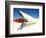 Close-up of Fin and Taillight on Classic Car-Bill Bachmann-Framed Photographic Print