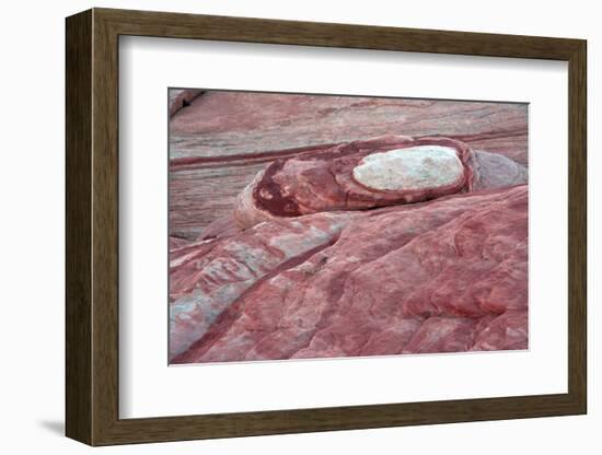 Close-up of Fire Wave Trail, Valley of Fire State Park, Nevada, USA.-Michel Hersen-Framed Photographic Print