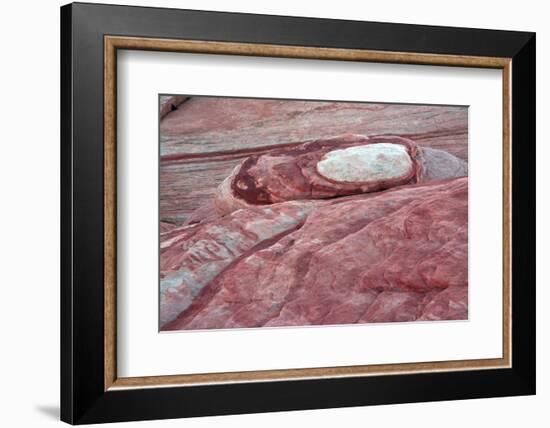 Close-up of Fire Wave Trail, Valley of Fire State Park, Nevada, USA.-Michel Hersen-Framed Photographic Print