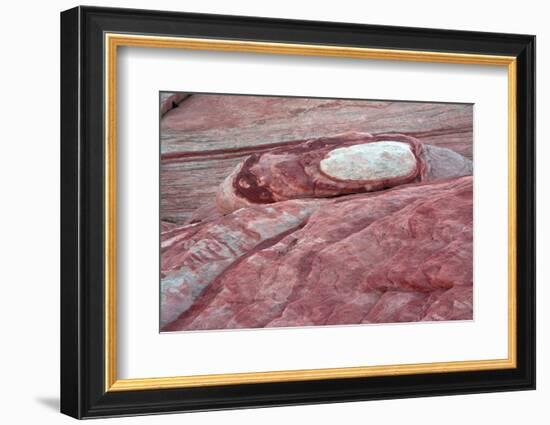 Close-up of Fire Wave Trail, Valley of Fire State Park, Nevada, USA.-Michel Hersen-Framed Photographic Print