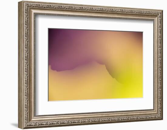 Close Up of Flower Petals Form a Colorful Abstract-Rona Schwarz-Framed Photographic Print