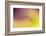 Close Up of Flower Petals Form a Colorful Abstract-Rona Schwarz-Framed Photographic Print