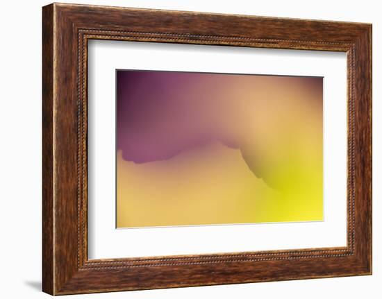 Close Up of Flower Petals Form a Colorful Abstract-Rona Schwarz-Framed Photographic Print