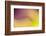 Close Up of Flower Petals Form a Colorful Abstract-Rona Schwarz-Framed Photographic Print
