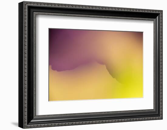 Close Up of Flower Petals Form a Colorful Abstract-Rona Schwarz-Framed Photographic Print