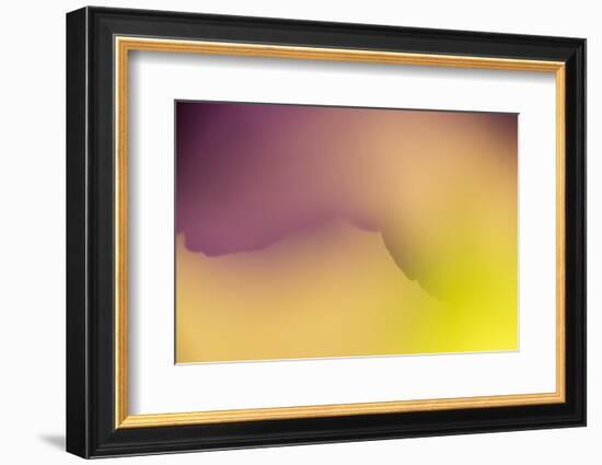 Close Up of Flower Petals Form a Colorful Abstract-Rona Schwarz-Framed Photographic Print