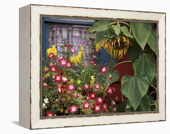 Close-up of Flowers in Front of a House-null-Framed Premier Image Canvas