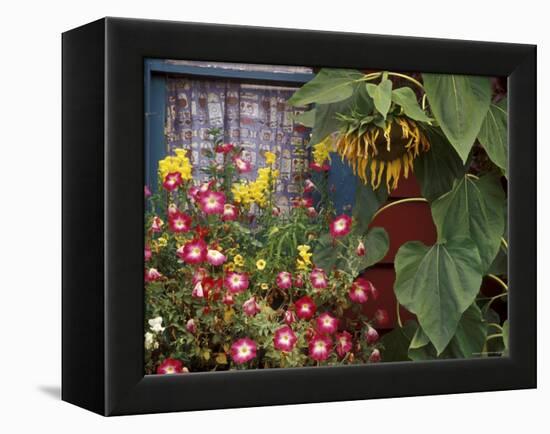 Close-up of Flowers in Front of a House-null-Framed Premier Image Canvas