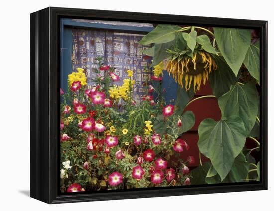 Close-up of Flowers in Front of a House-null-Framed Premier Image Canvas