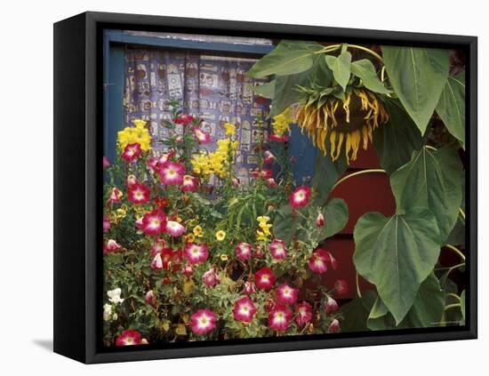 Close-up of Flowers in Front of a House-null-Framed Premier Image Canvas