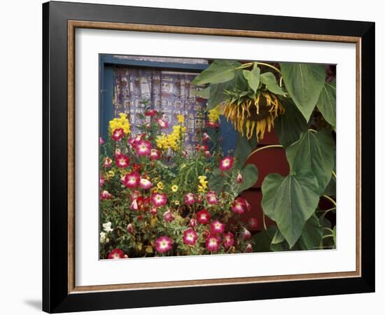 Close-up of Flowers in Front of a House-null-Framed Photographic Print