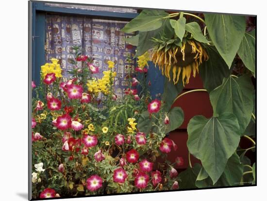 Close-up of Flowers in Front of a House-null-Mounted Photographic Print