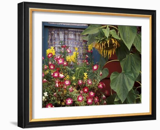 Close-up of Flowers in Front of a House-null-Framed Photographic Print