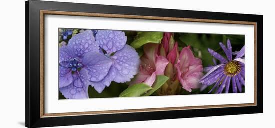 Close-Up of Flowers-null-Framed Photographic Print