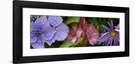 Close-Up of Flowers-null-Framed Photographic Print