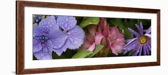 Close-Up of Flowers-null-Framed Photographic Print