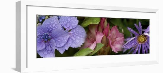 Close-Up of Flowers-null-Framed Photographic Print