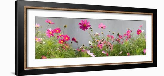 Close-Up of Flowers-null-Framed Photographic Print