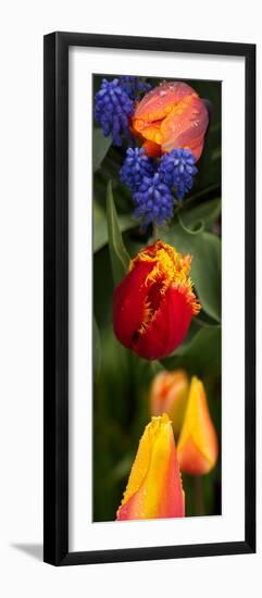 Close-Up of Flowers-null-Framed Photographic Print