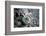 Close-Up of Fly Fishing Reel and Steelhead-Justin Bailie-Framed Photographic Print