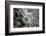 Close-Up of Fly Fishing Reel and Steelhead-Justin Bailie-Framed Photographic Print