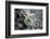 Close-Up of Fly Fishing Reel and Steelhead-Justin Bailie-Framed Photographic Print