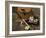 Close-up of Fly Fishing Tackle-null-Framed Photographic Print