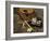 Close-up of Fly Fishing Tackle-null-Framed Photographic Print