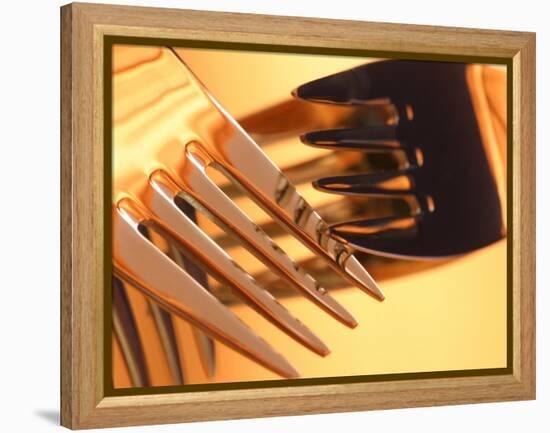 Close-up of Forks-null-Framed Premier Image Canvas